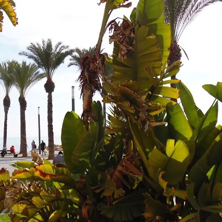 Apartment Moriones A. A150 M Del Mar En Centro De Ciudad Torrevieja